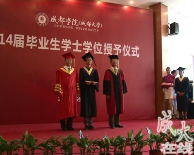 王清远校长为2014届毕业学士授位