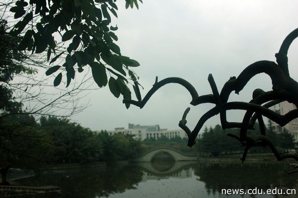 别样角度寻别样梦想。幻悸.jpg