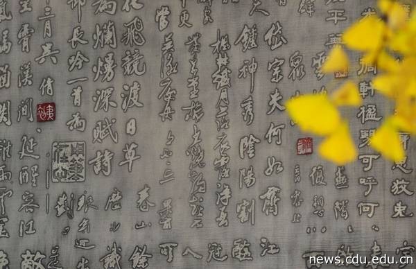 又到树叶金黄时。席部.jpg