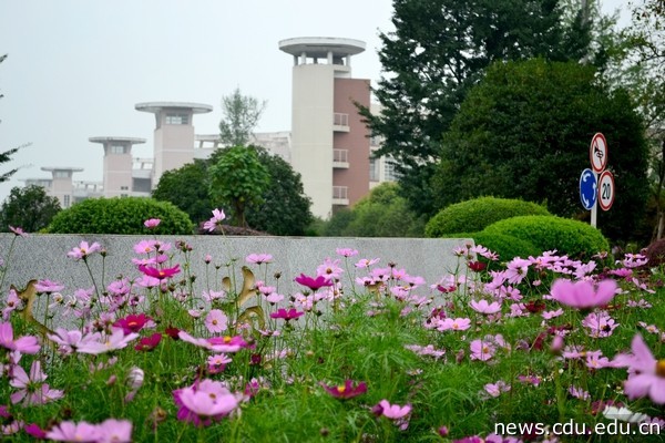 美丽的成大校园.jpg