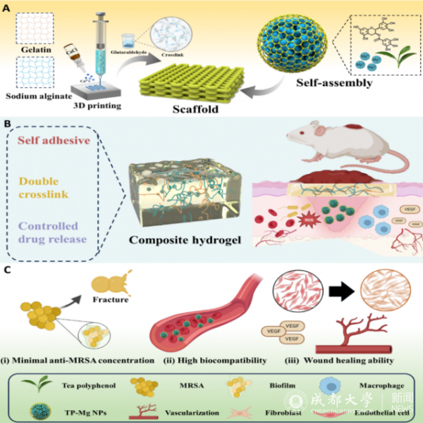 Advanced Functional Materials-2.png