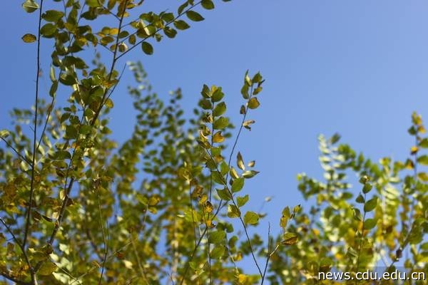 IMG_5770.jpg