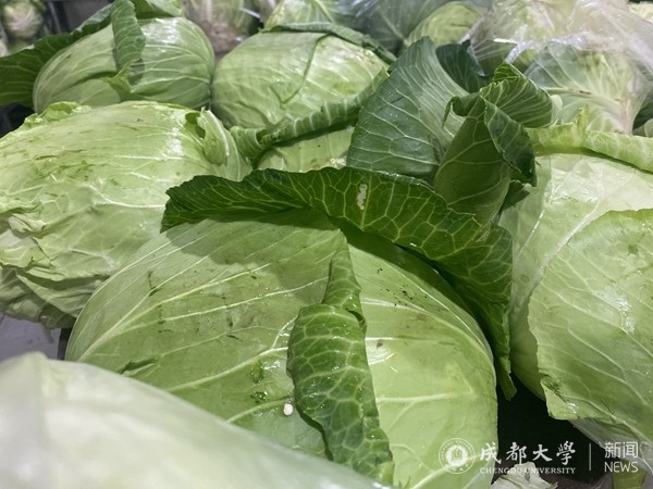 微信图片_20221127142033.jpg