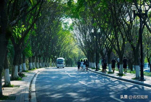住在成都这个地方，给你大学四年的“神仙体验”