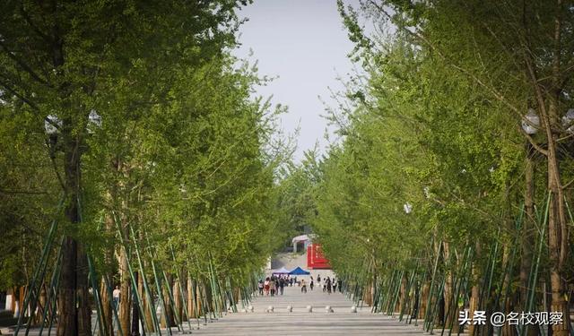 住在成都这个地方，给你大学四年的“神仙体验”