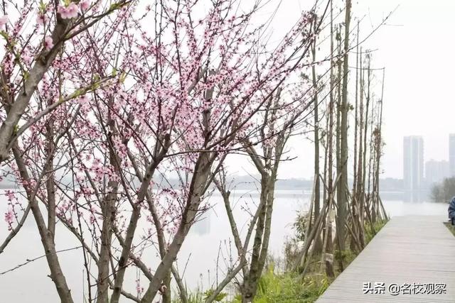 住在成都这个地方，给你大学四年的“神仙体验”