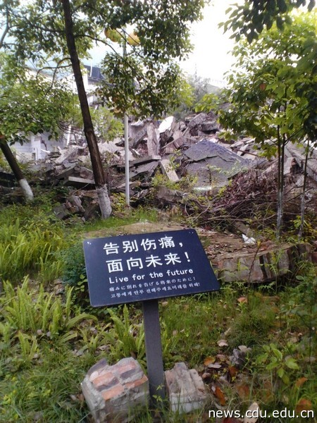 废墟间的提示牌1.jpg