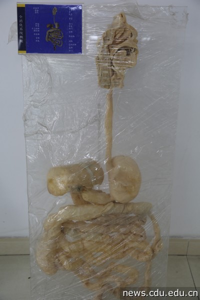 2V9A2439.jpg