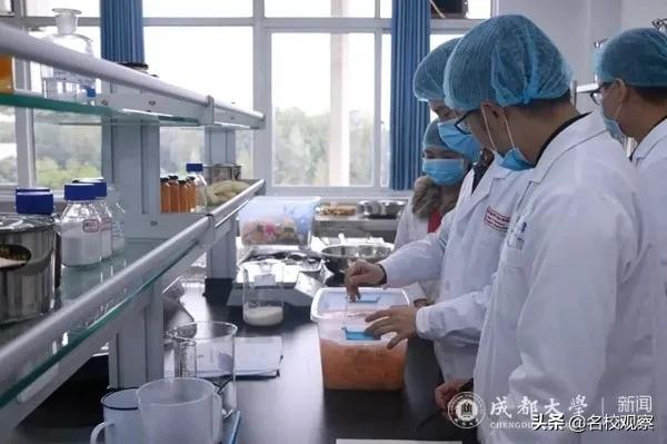 半数学生考上研究生，创成大首次！这个专业真硬核