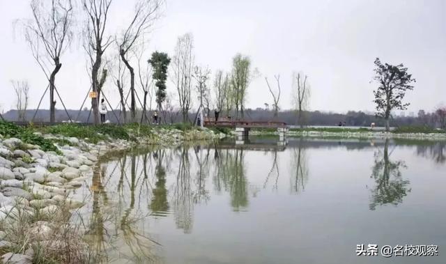 住在成都这个地方，给你大学四年的“神仙体验”