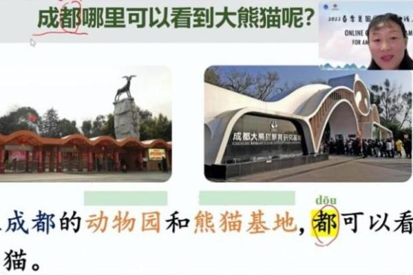 图片 3(1).png