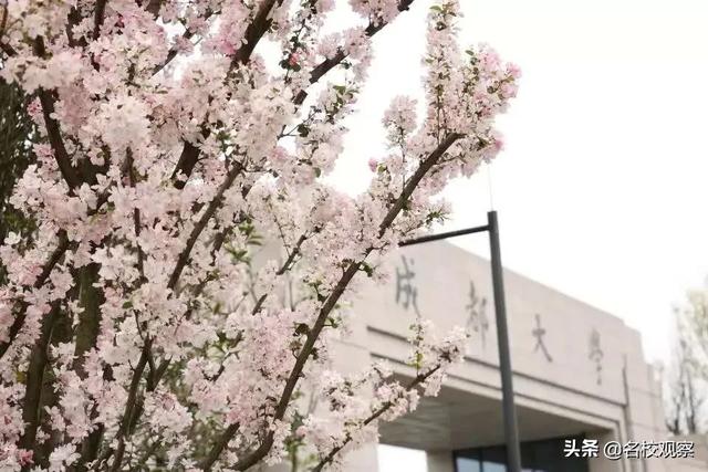 住在成都这个地方，给你大学四年的“神仙体验”